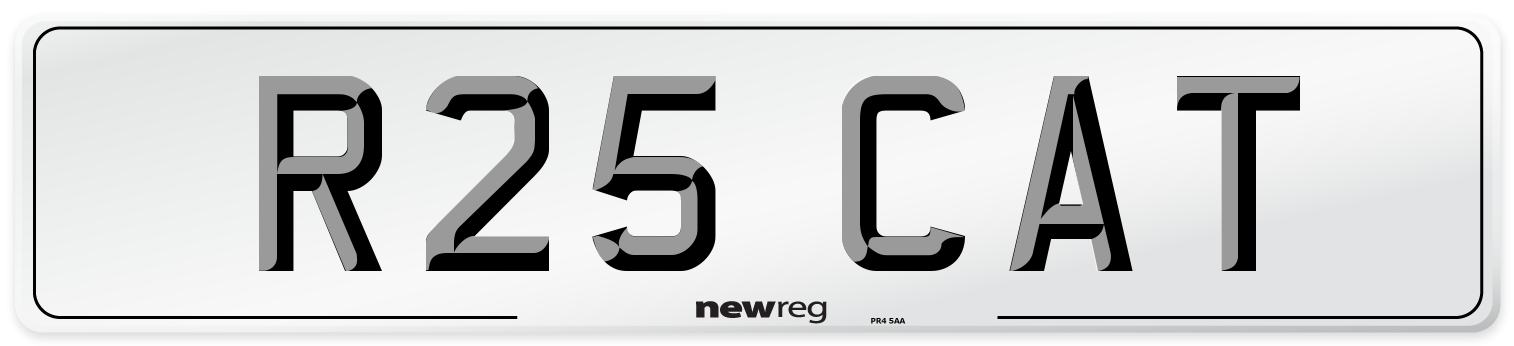 R25 CAT Number Plate from New Reg